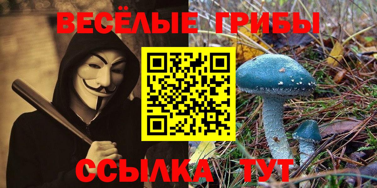 Феодосия  Галлюциногенные грибы MAGIC MUSHROOMS  Вход с VPN  Псилоцибиновые грибы ЛСД 